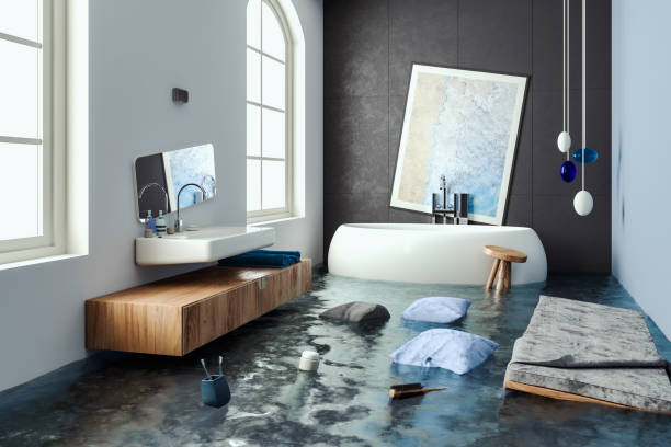 Best Mold removal after water damage  in Leonardtown, MD