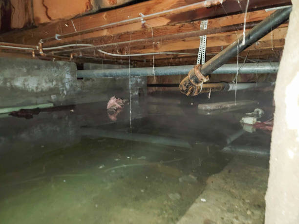 Best Sewage cleanup and water damage restoration  in Leonardtown, MD
