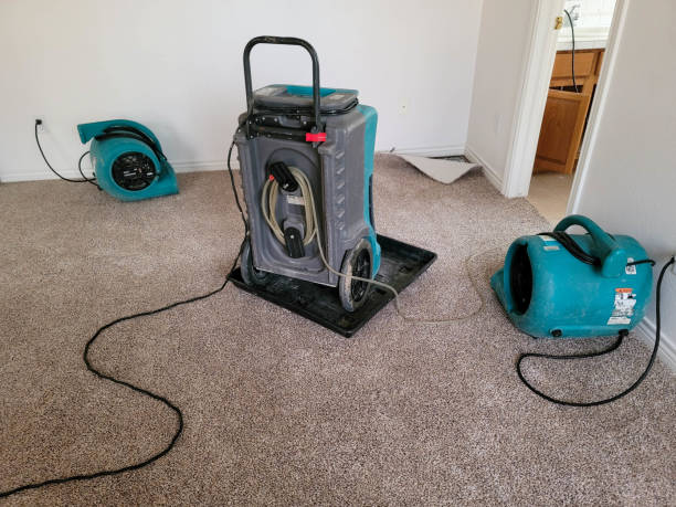 Best Water damage contractors near me  in Leonardtown, MD