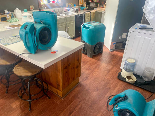 Best Water damage restoration near me  in Leonardtown, MD
