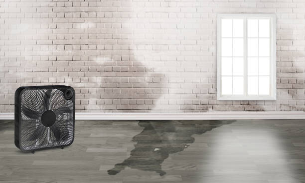Best Commercial water damage restoration  in Leonardtown, MD