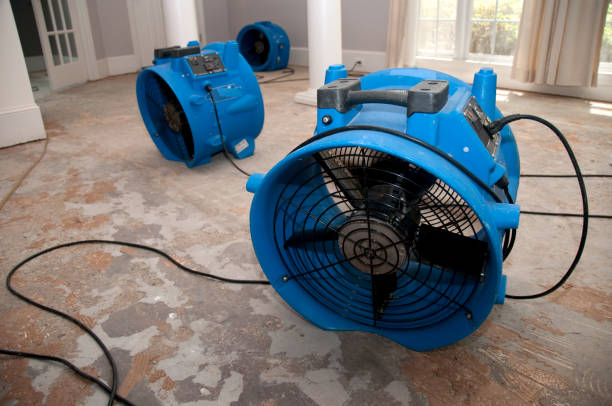 Best Professional water damage repair  in Leonardtown, MD
