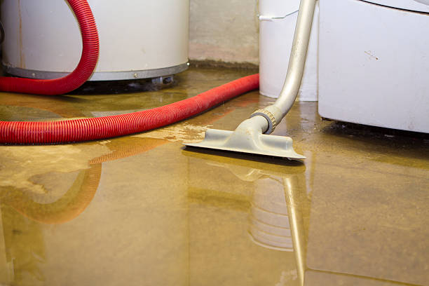 Best Flooded house restoration  in Leonardtown, MD