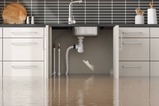 Best Water damage cleanup near me  in Leonardtown, MD