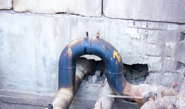 Best Flood damage cleanup  in Leonardtown, MD