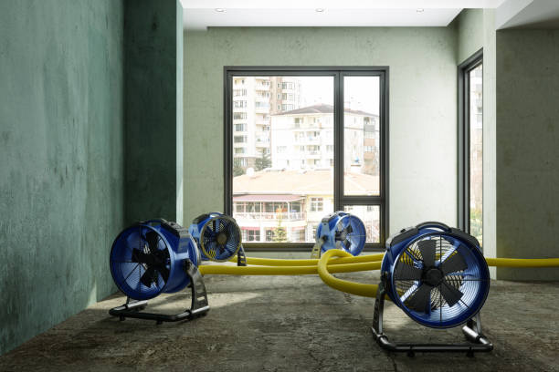 Best 24-hour water damage restoration  in Leonardtown, MD
